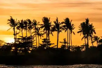Découverte des îles Visayas – Image 3