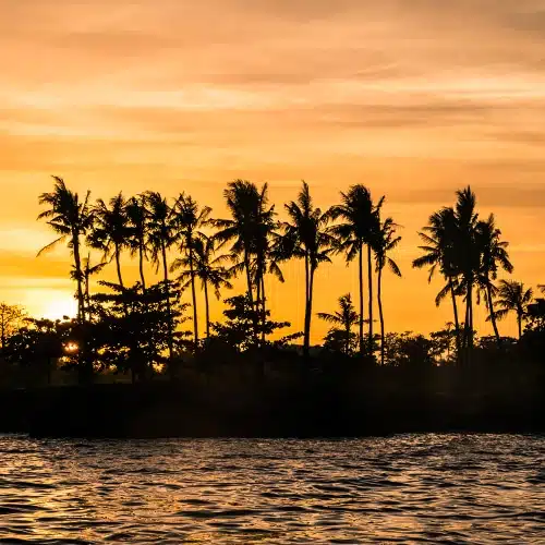 Découverte des îles Visayas – Image 3
