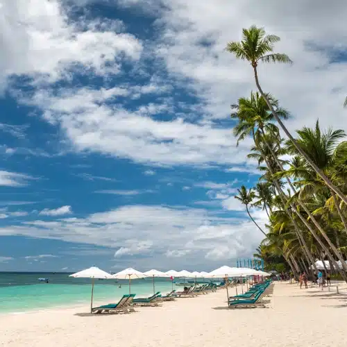 Découverte des îles Visayas – Image 4