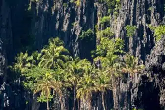 Trekking au pays Ifugao et Busuanga – Image 4