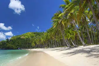 Voyage à Palawan Nord – Image 4