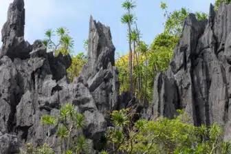 Voyage d'île en île, Mindoro à Busuanga – Image 2